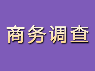 连城商务调查